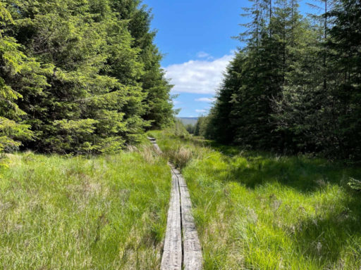 Western Way boardwalk