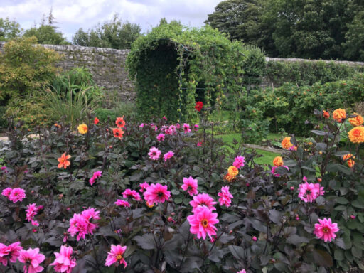 Gardens in bloom