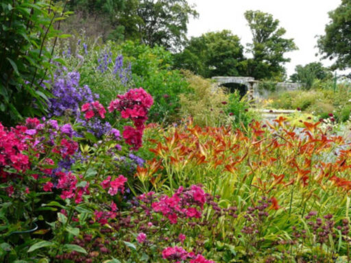 Woodville Walled Gardens