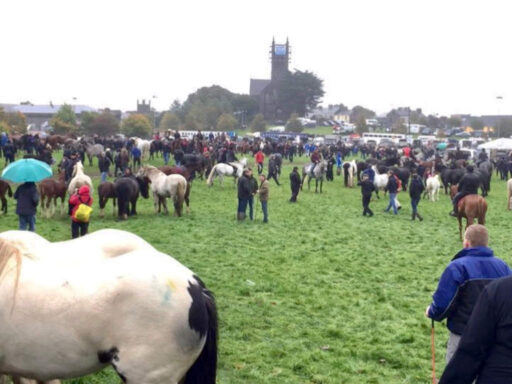 Ballinasloe Horse Fair