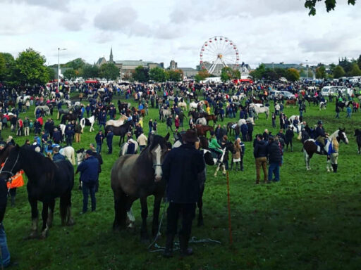Ballinasloe Horse Fair