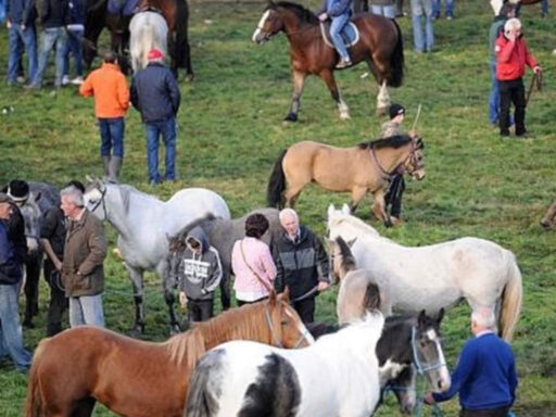 Ballinasloe Horse Fair