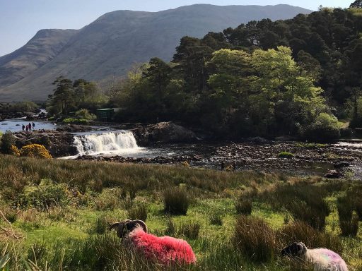 Aasleagh falls at Leenane