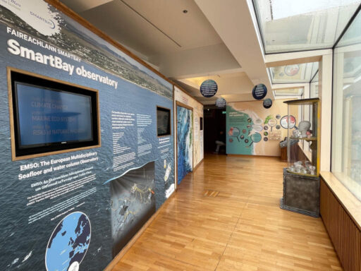 Maritime section