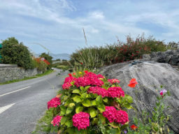 tully village