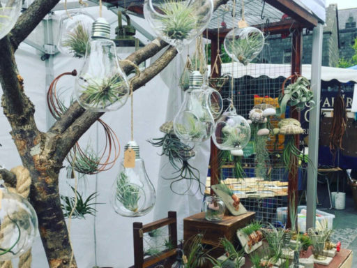 Air plants stall