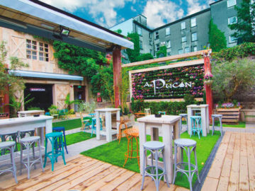 Garden at An Púcán