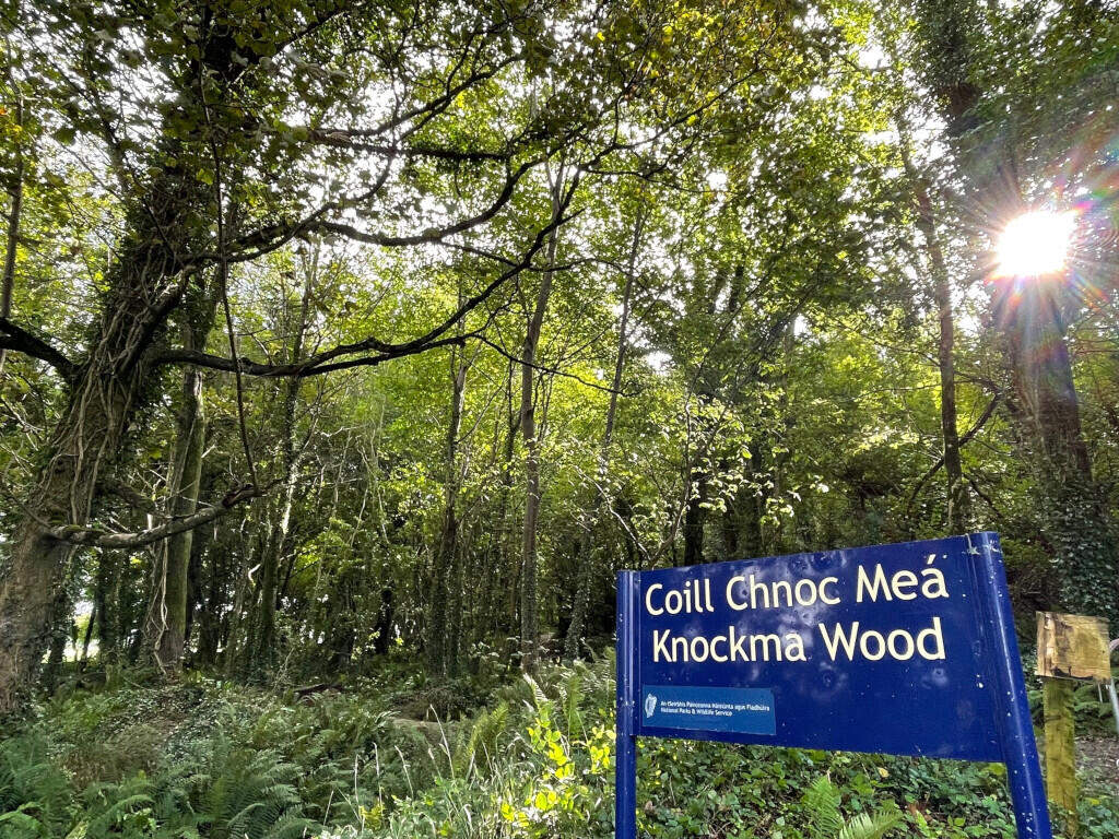 Knockma Nature Reserve