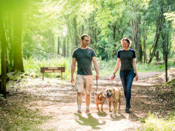Portumna Forest Park Trails