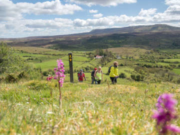 The Hymany Way Walking Trail