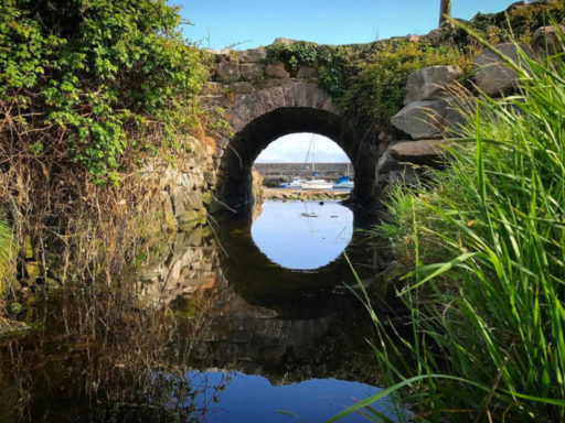By the stream