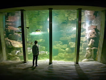 Galway Aquarium