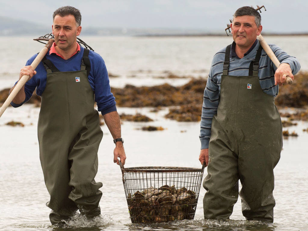 Galway Gastronomy