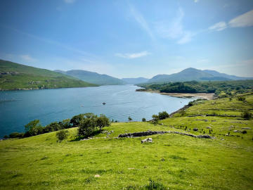 Killary Harbour Walk Loop