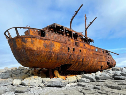 The Plassey