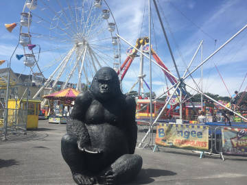 Currys amusements for Kids Galway