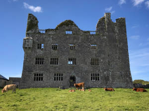 Lemaneh Castle