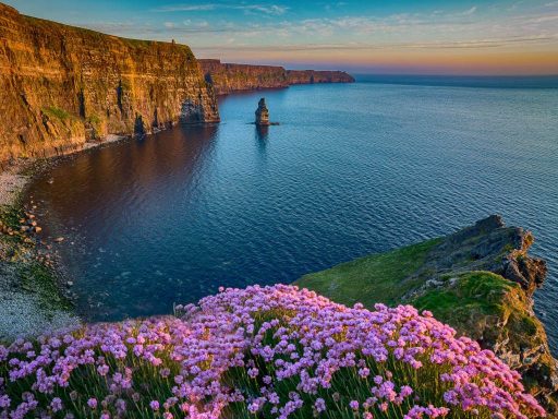 Sightseeing Tours from Galway
