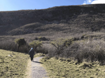 Burren Tours