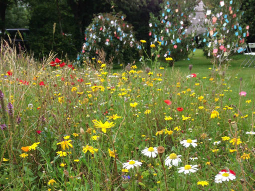 Brigits Garden flowers