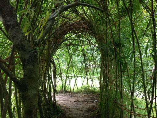 Brigits Garden willow tunnel