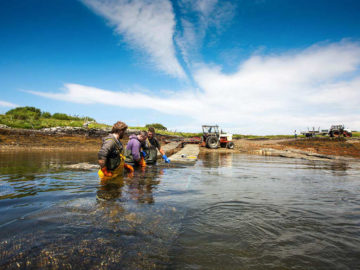 DK oysters letterfrack Connemara