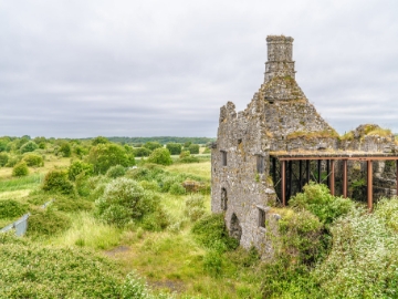 Terryland Castle