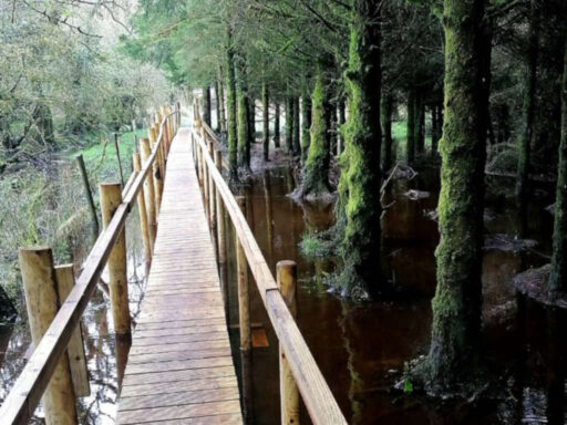 Boardwalk