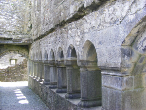 Ross Errilly Friary