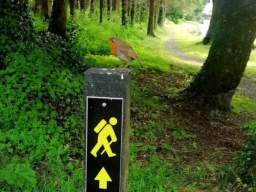 Waymarked Trail