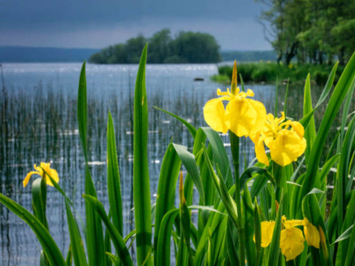 Lough Derg