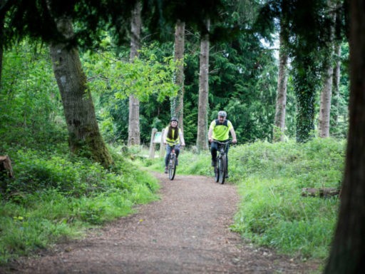 Mountain Biking