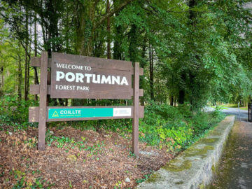 Portumna Forest Park