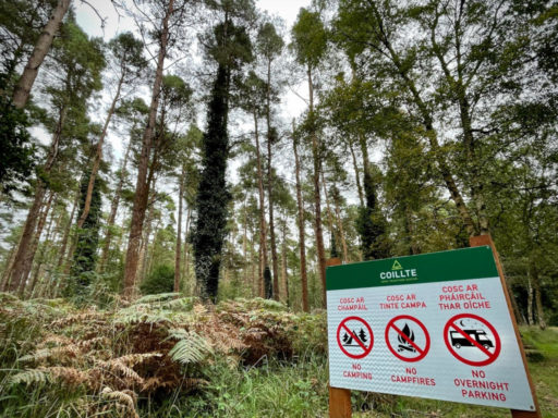 Forest Park