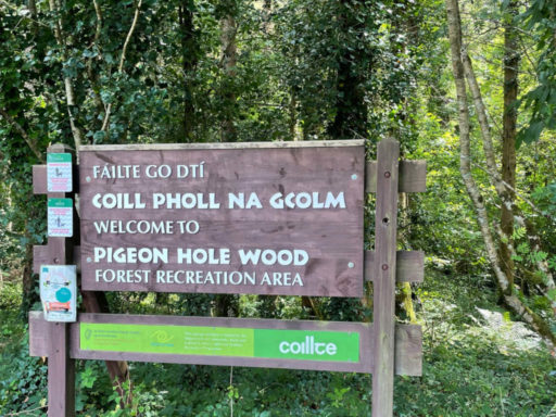 Pidgeon hole cave sign