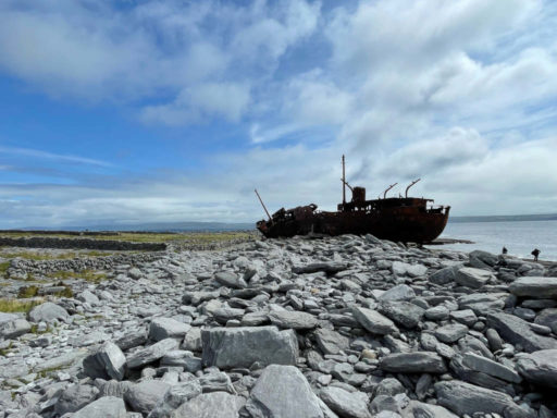The Plassey