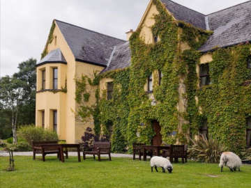 Pet Friendly Connemara