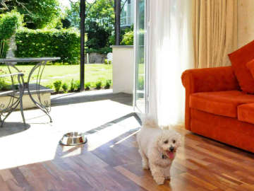 dog friendly ardilaun hotel