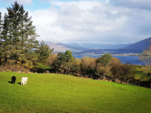 View of Lough Corrib