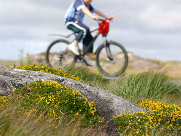 Connemara Loop