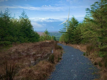 Galway Wind Way trails
