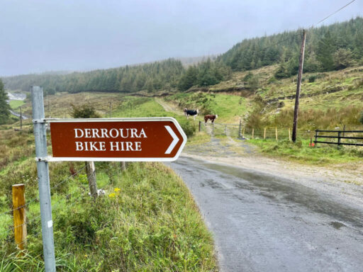 Derroura Trail Bike Hire