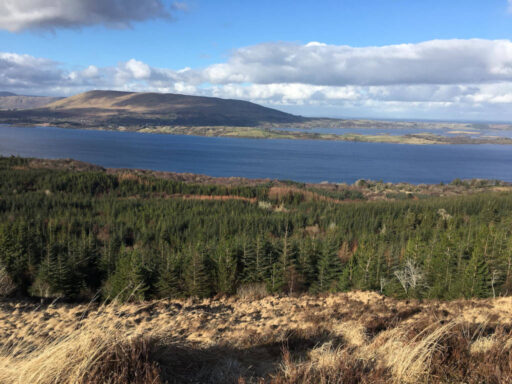 Derroura MTB trail views