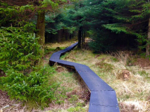Derroura MTB Trail