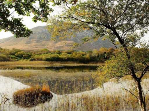 Kylemore Lake at Autumn