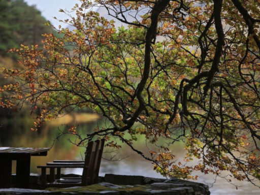 Kylemore in Autumn