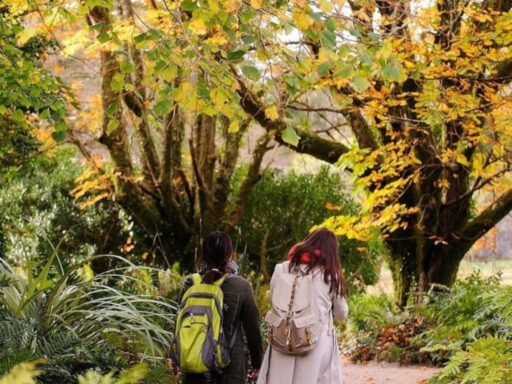 Visiting Kylemore in Autumn