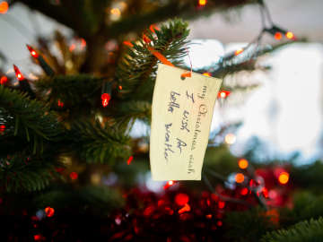 Christmas at Brigit's Garden