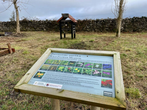 Ballyglunin Railway Station biodiversity