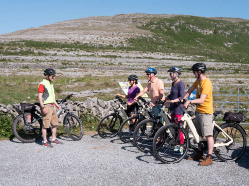 Group Tours